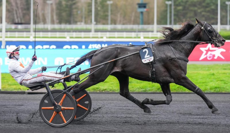 HE AND ME drivé par Éric RAFFIN gagnant du Prix de Paris 2026 sur l'hippodrome de Paris Vincennes