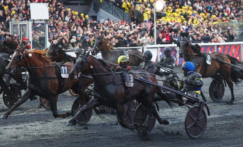 HOKKAIDO JIEL drivé par Franck NIVARD gagnant du Prix d'Amérique 2026 sur l'hippodrome de Paris Vincennes HOKKAIDO JIEL drivé par Franck NIVARD gagnant du Prix d'Amérique 2026 sur l'hippodrome de Paris Vincennes