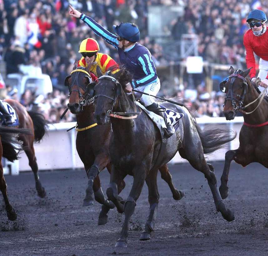IGUSKI SAUTONNE monté par Matthieu ABRIVARD gagnant du Prix de Cornulier 2026 à Vincennes
